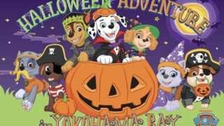 パウ・パトロール コラボ