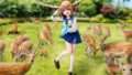 しかのこのこのここしたんたん コラボ