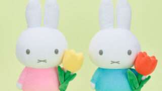 ミッフィー プライズ