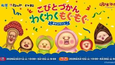 こびとづかん コラボ