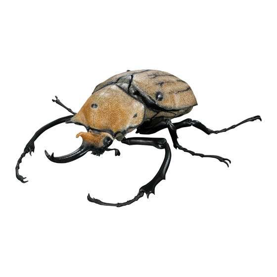 いきもの大図鑑アドバンス カブトムシ04