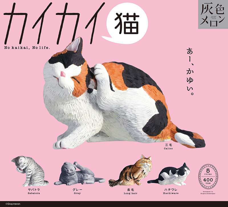 カイカイ猫
