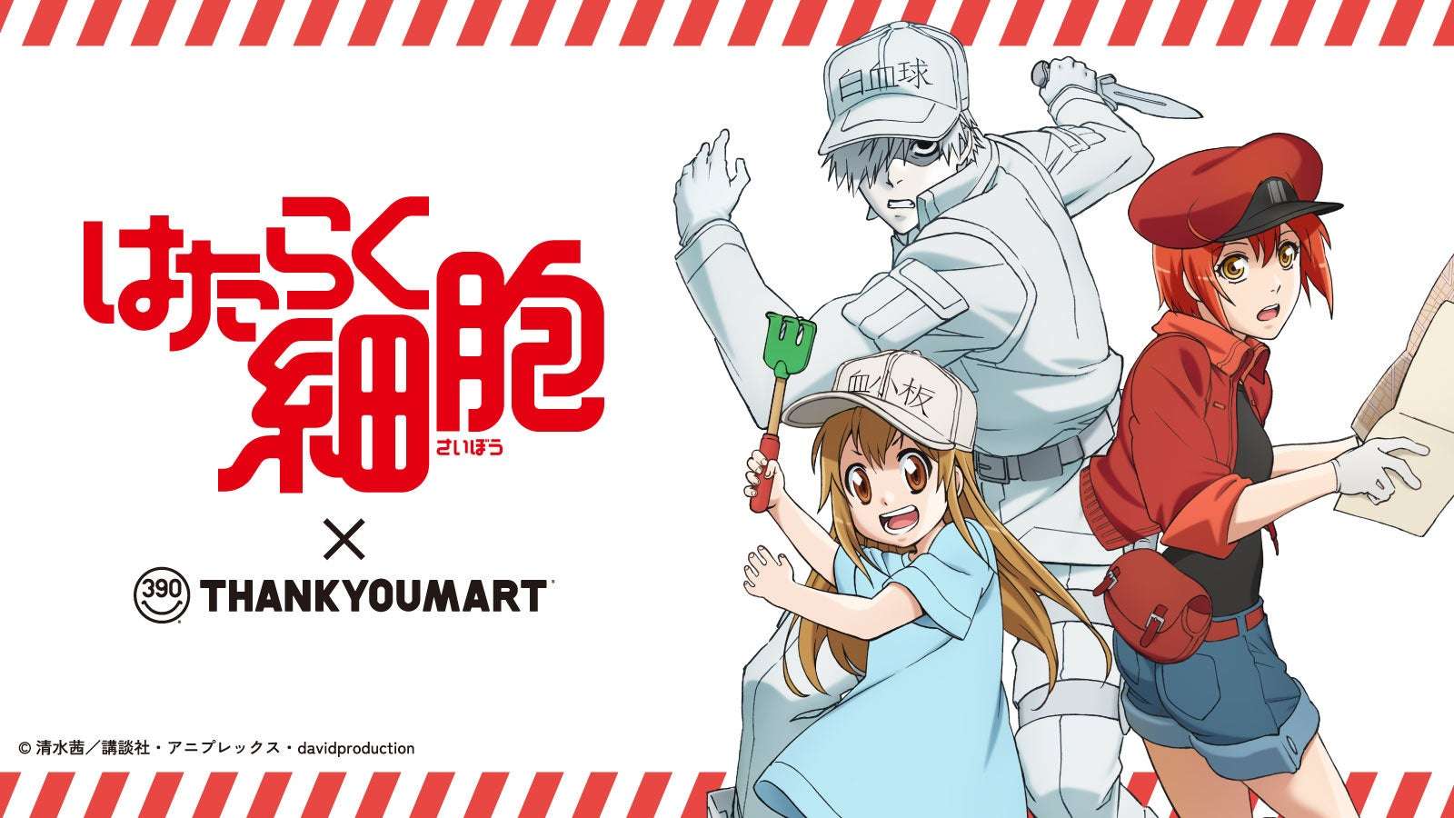 【2026年2月20日発売】はたらく細胞 × サンキューマート コラボレーション雑貨