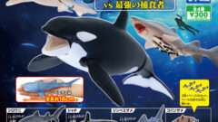 サメ ガチャガチャ