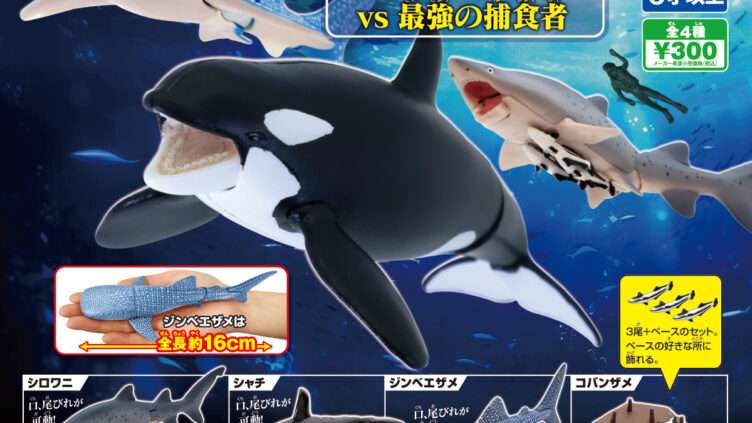 サメ ガチャガチャ