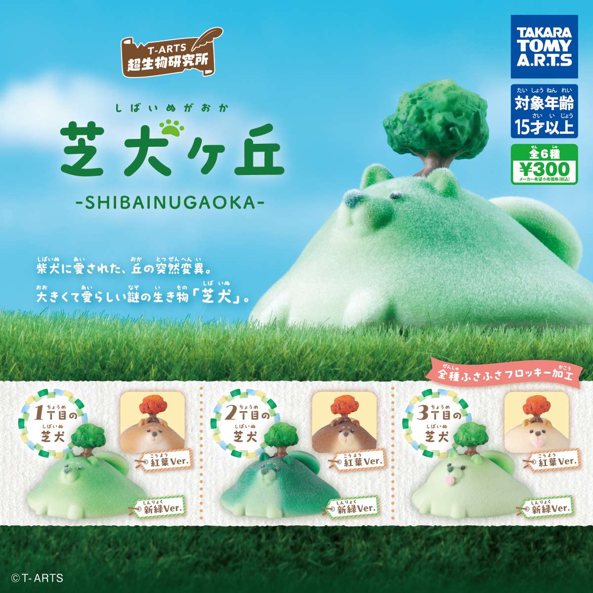 芝犬ヶ丘