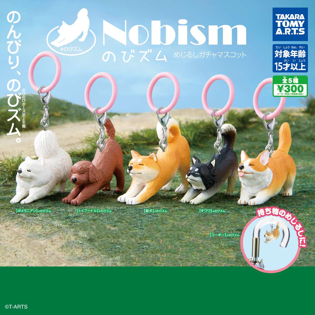 Nobism のびズム　-めじるしガチャマスコット-