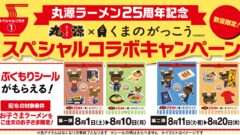 くまのがっこう コラボ