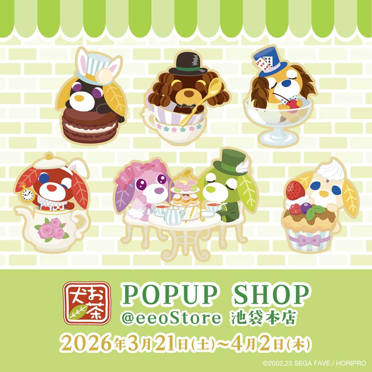 【2026年3月21日開催】お茶犬 POPUP SHOP