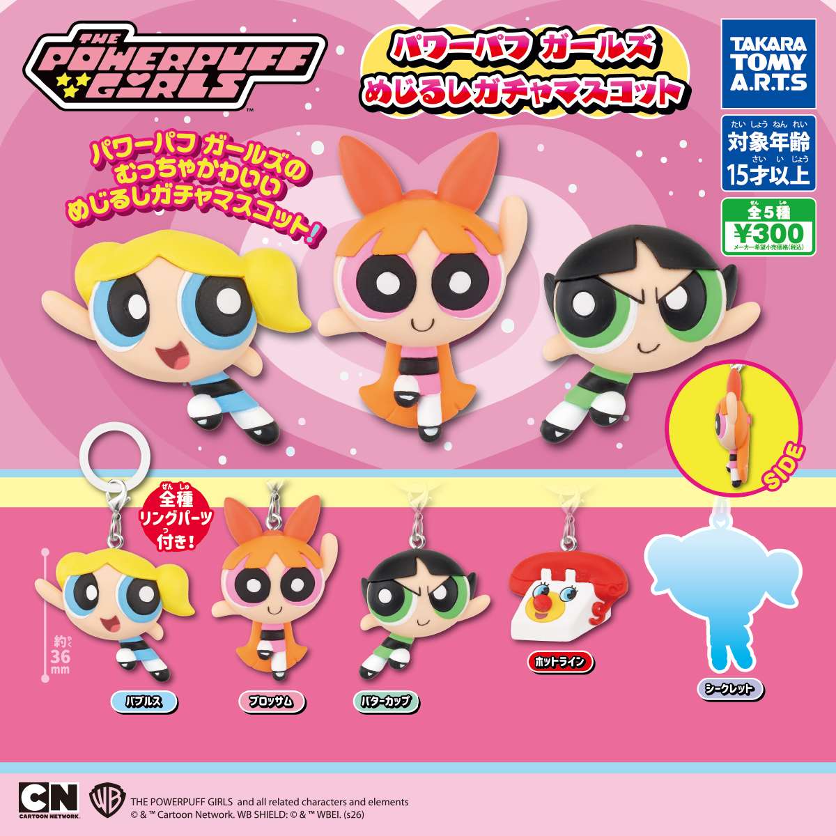 パワーパフガールズ　めじるしガチャマスコット