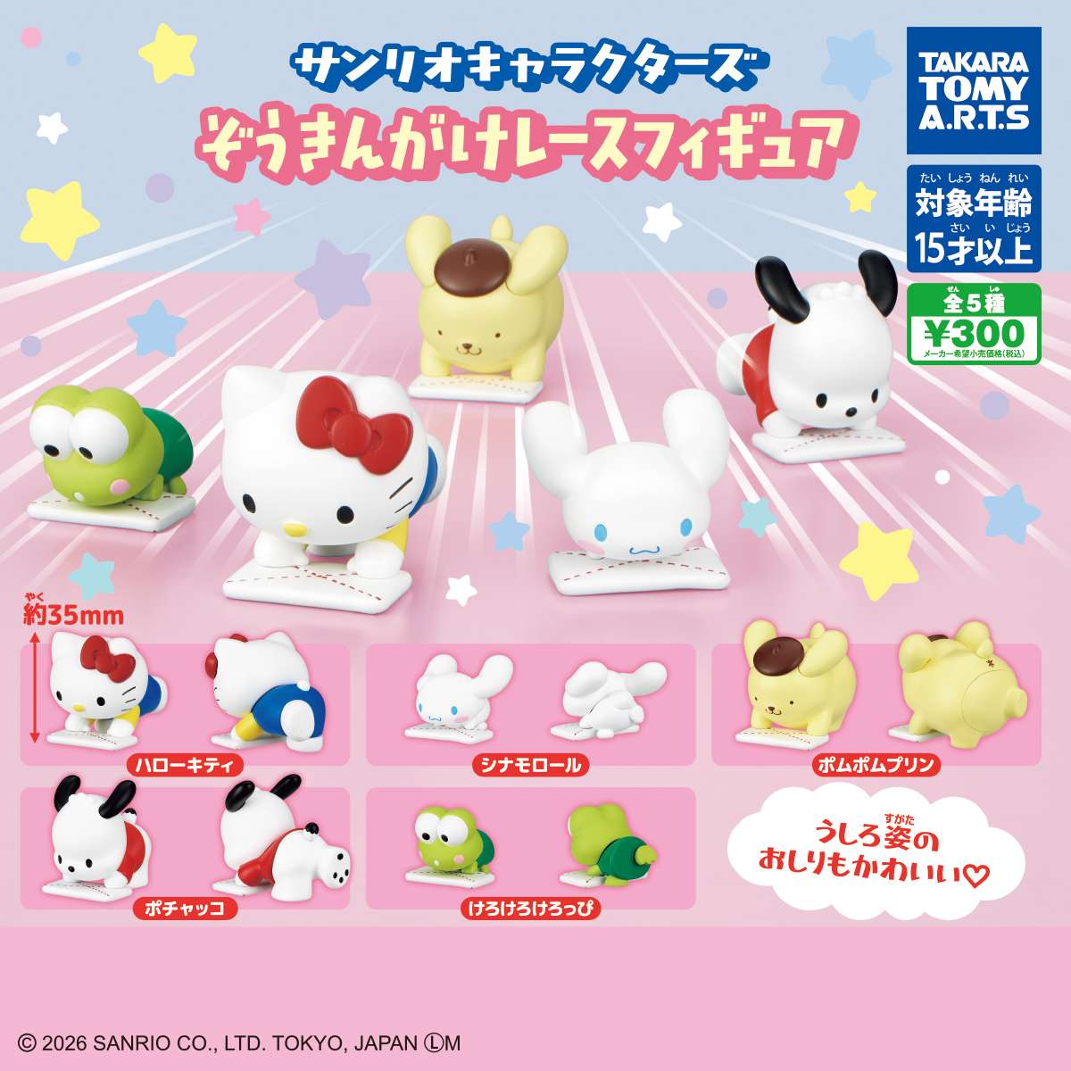 サンリオキャラクターズ　ぞうきんがけレースフィギュア
