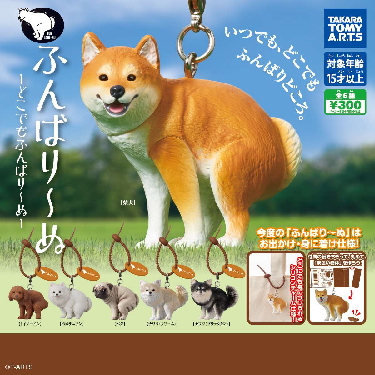 ふんばり～ぬ　-どこでもふんばり～ぬ-