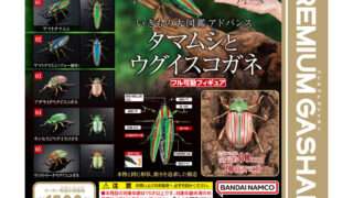 いきもの大図鑑 ガチャガチャ