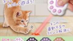 猫 ガチャガチャ