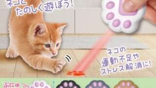 猫 ガチャガチャ