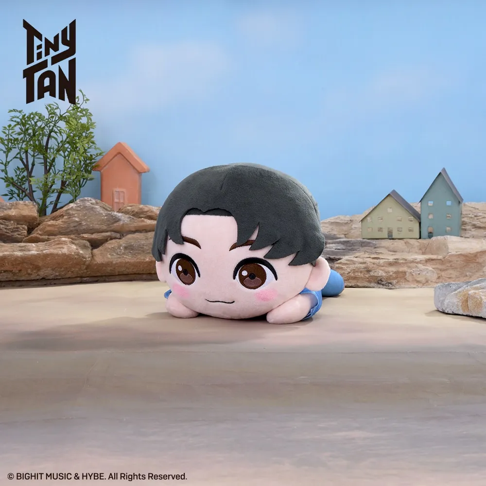 TinyTAN寝そべりMぬいぐるみ～PermissiontoDance～Jung Kook