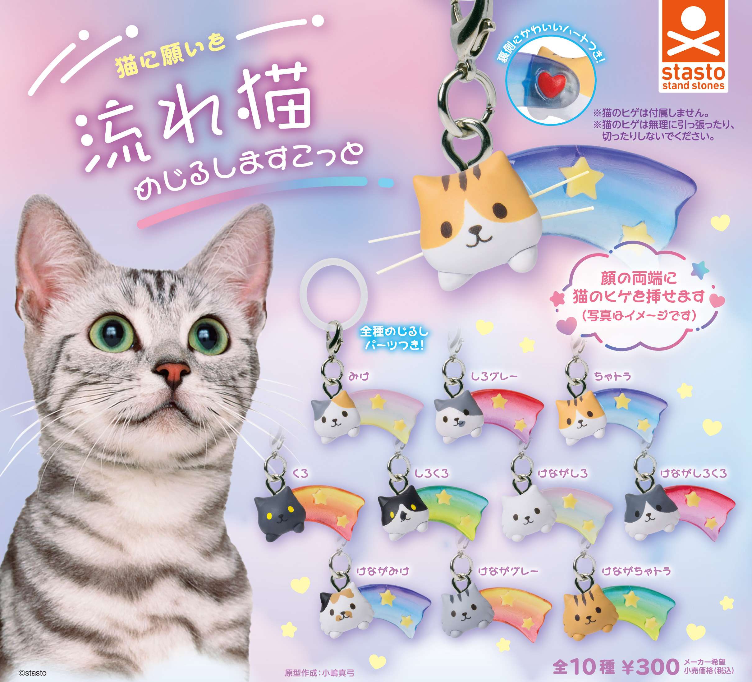 猫に願いを 流れ猫 めじるしますこっと
