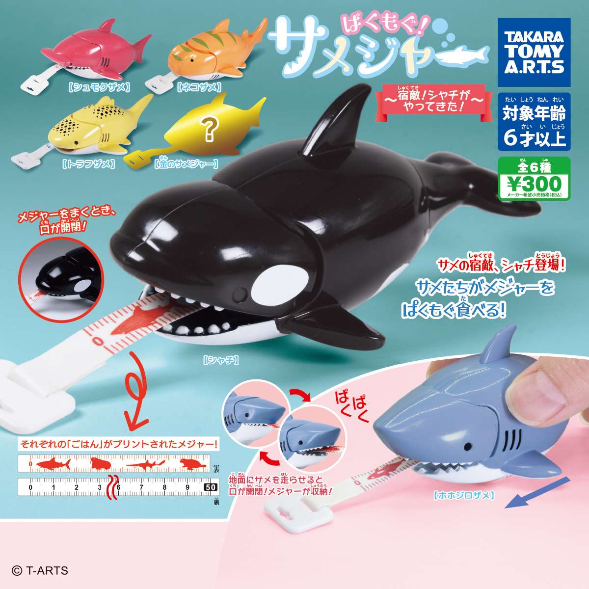 ぱくもぐ！サメジャー　〜宿敵！シャチがやってきた〜