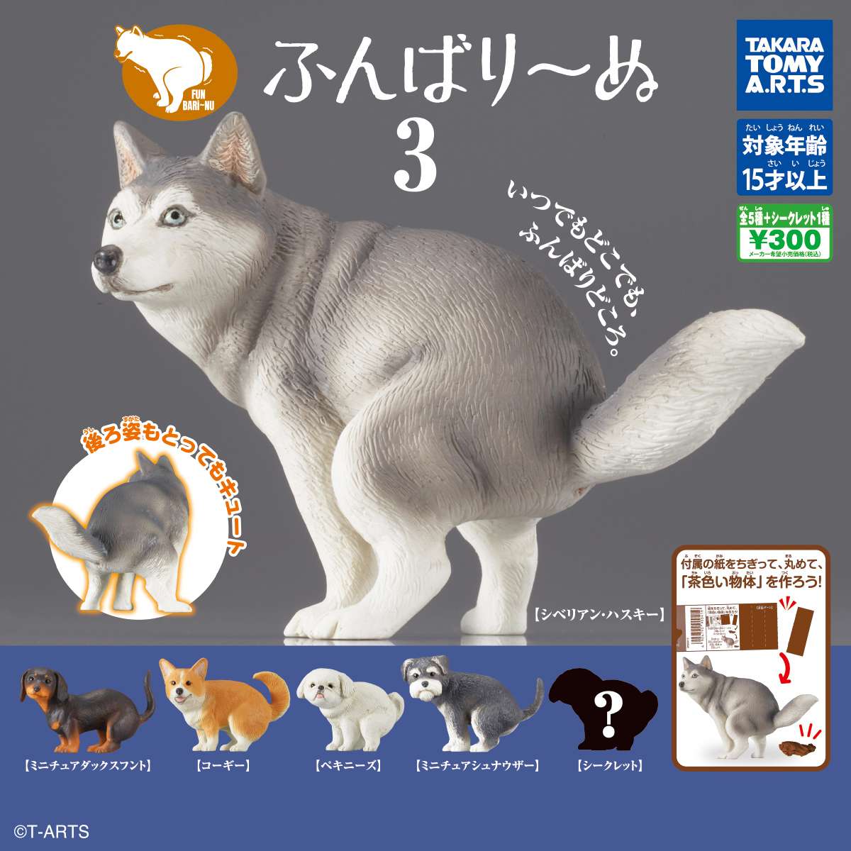 ふんばり～ぬ3