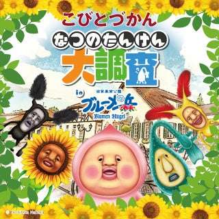 こびとづかん コラボ