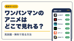 ワンパンマン 動画配信
