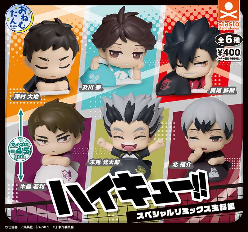 おねむたん ハイキュー‼ スペシャルリミックス主将編