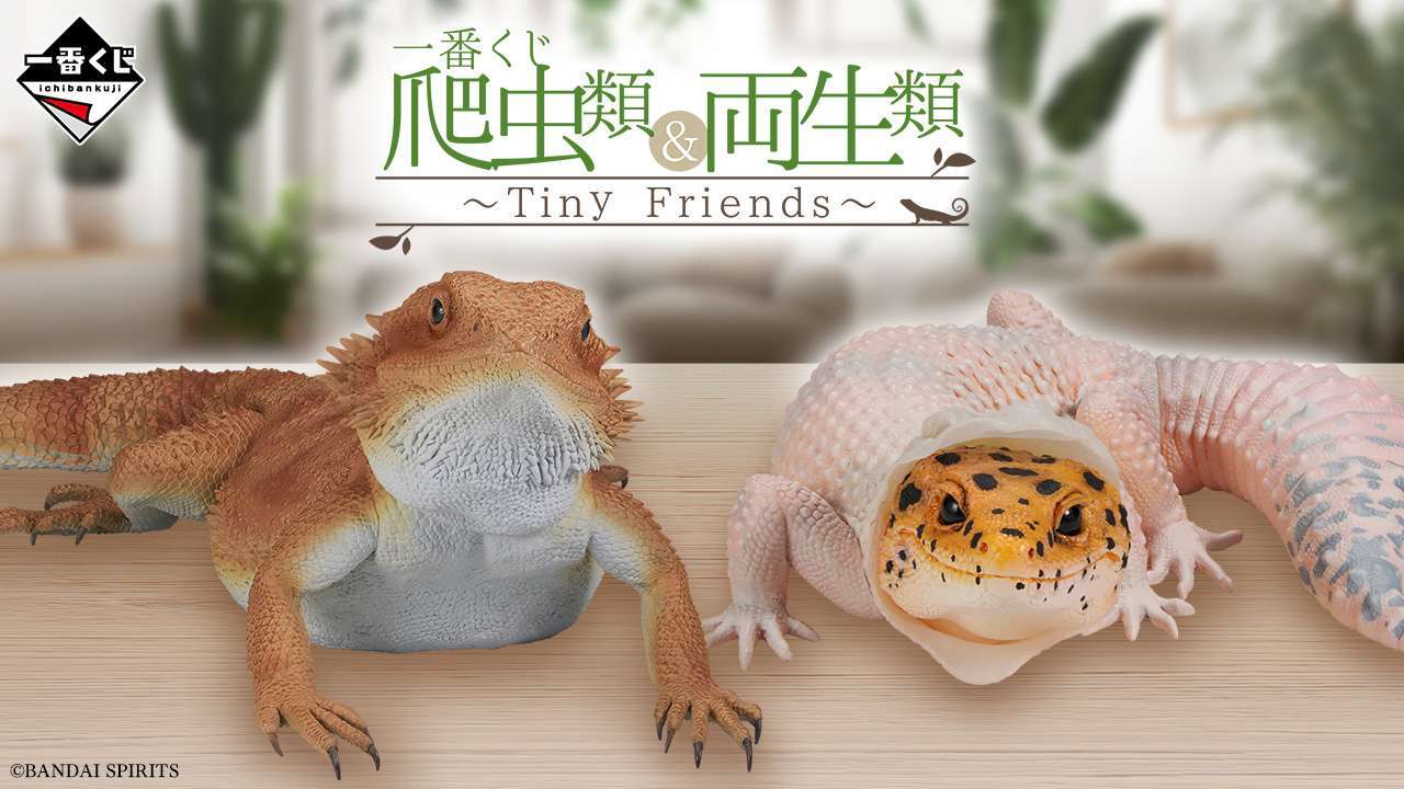 一番くじ 爬虫類＆両生類～Tiny Friends～