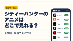 シティーハンター 動画配信