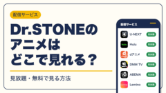 Dr.STONE 動画配信