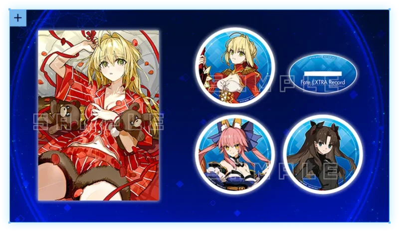 Fate/EXTRA Record 予約特典 アニメイトとソフマップはワダアルコ描きおろしのタペストリー