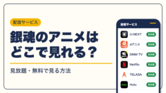 銀魂 動画配信
